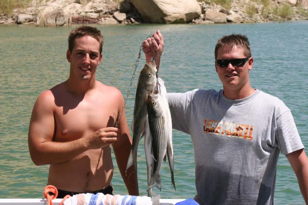 Lake Powell catch, 2007